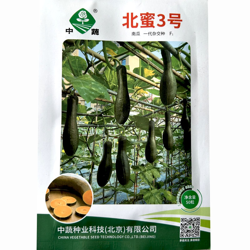 北蜜3号三号吊瓜南瓜种子嫩瓜深绿色微甜50天上市