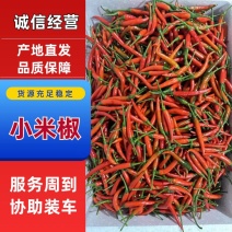 鲜辣椒，小米辣，量大从优，基地直供，对接全国客商