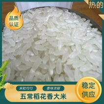 东北五常稻花香大米一级品质保证厂家直销欢迎订购