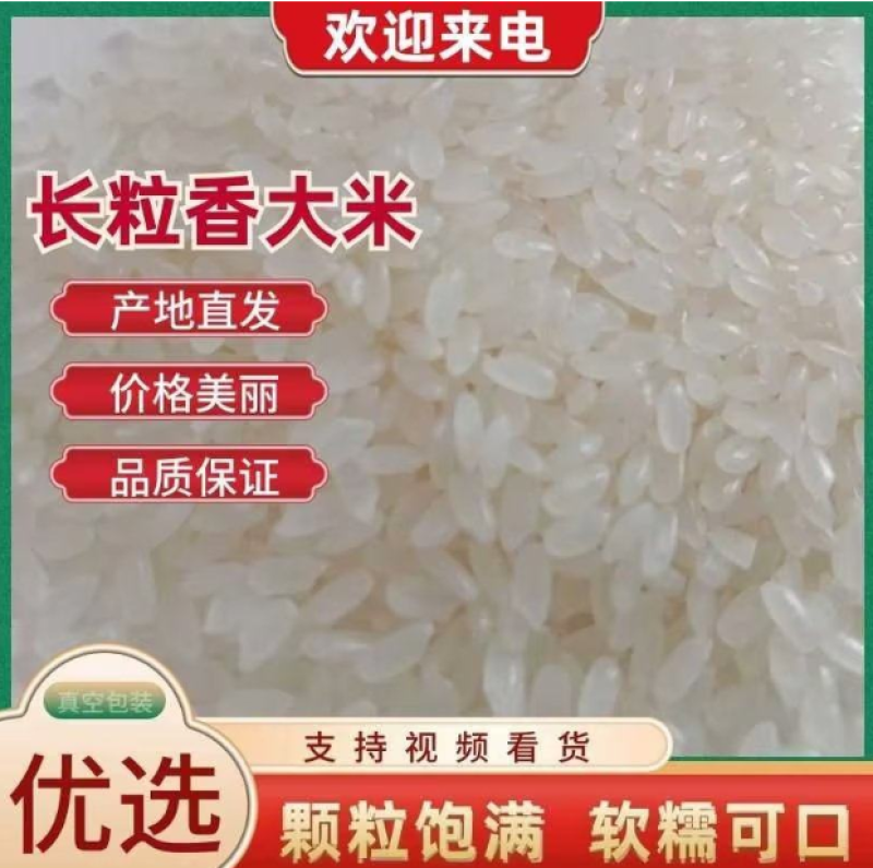 东北长粒香大米颗颗饱满粒粒香原产地直发大量供应