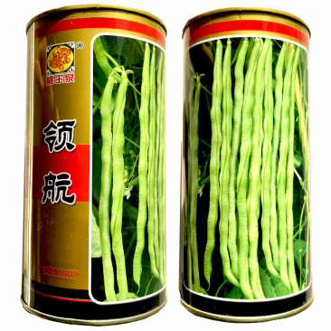 无筋架豆种子**早熟高产春秋播种无纤维长圆长豆角