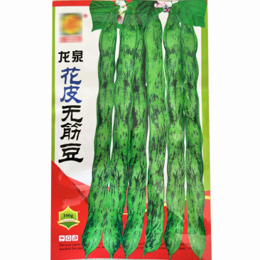 花皮油豆种子无筋豆荚淡绿色肉厚挂果多50天上市