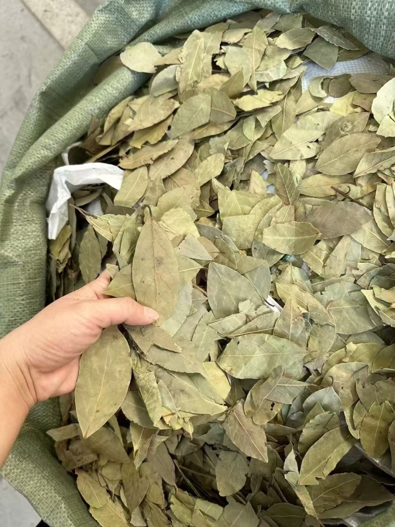进口香叶月桂叶卤味香料调味料港口一手货整件从优大货对接可