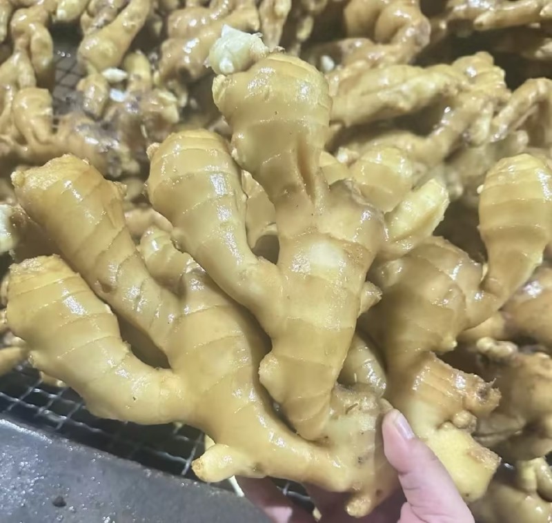 精品山东大黄姜，产地直发，专业团队，品质保证，价格优惠
