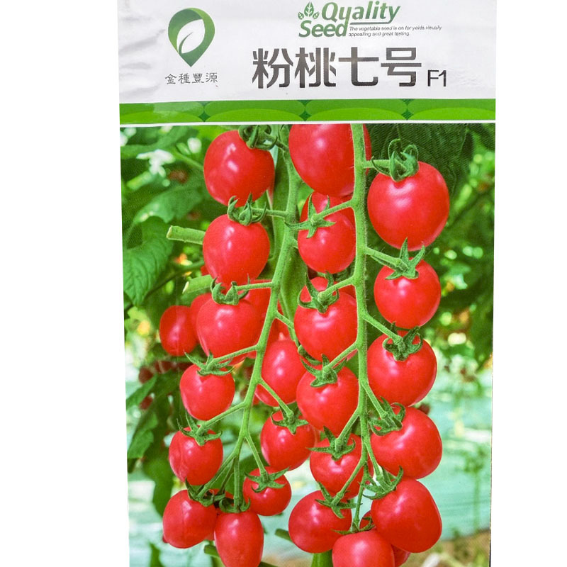 粉桃七号樱桃番茄种子无限生长抗病抗TY病毒粉红亮丽