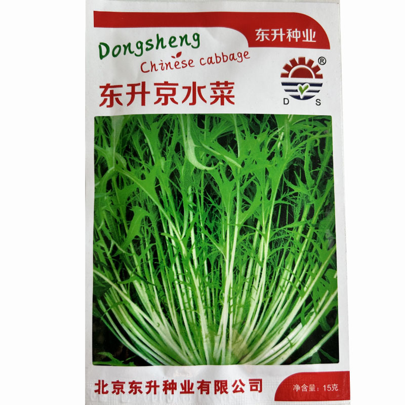 京水菜种子水晶菜千叶生长快白梗易种植四季火锅菜
