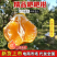 【热卖】四川精品耙耙柑供应市场商超电商品质保证量大价优