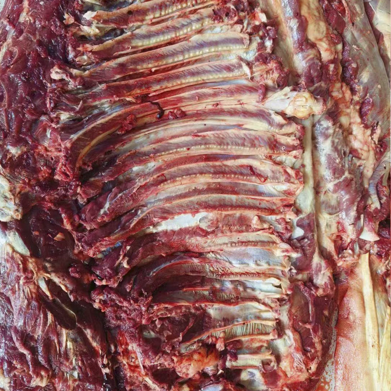 生驴肉新鲜现宰低价供应