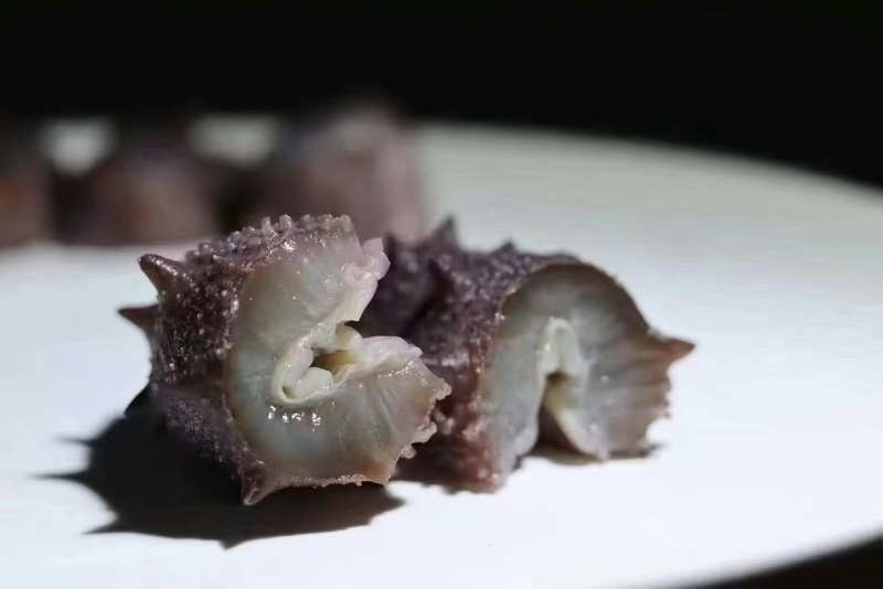 自家养殖，即食海参，酒店供应冷链批发询价