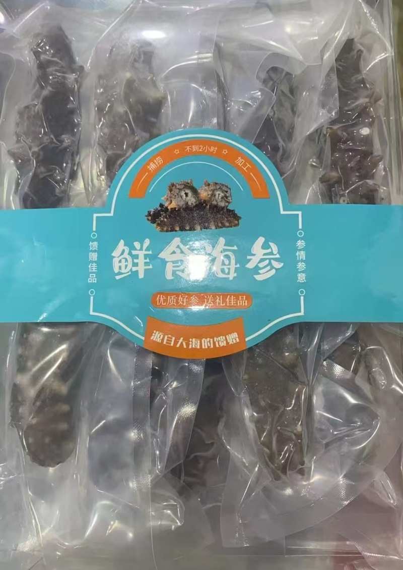 自家养殖，即食海参，酒店供应冷链批发询价