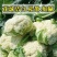 【****】湖北新鲜白花菜新鲜蔬菜花菜散农家白花菜实花菜