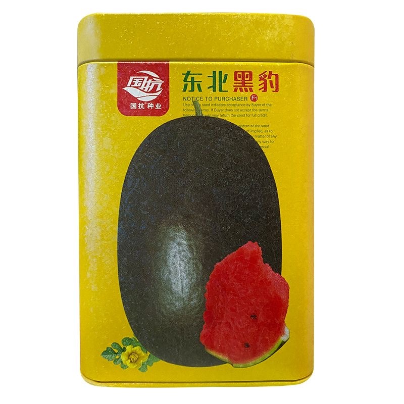 东北黑豹西瓜种子抗病皮黑色大红瓤中心糖13度