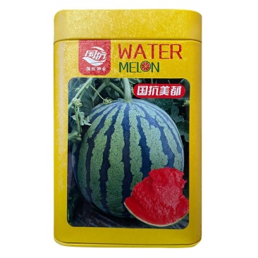 国抗美都西瓜种子中早熟抗病圆球形果肉红色