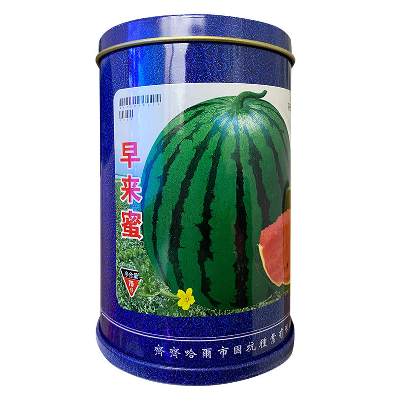 早来蜜西瓜种子瓜更大更抗病耐裂果肉红色脆甜爽口