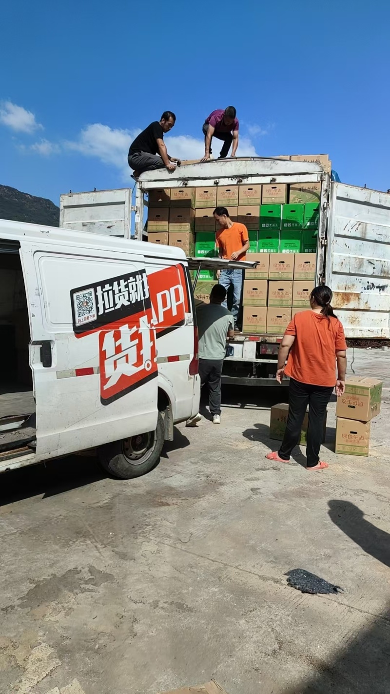 【进店咨询】泡椒精品新客折扣力度大全国发货价格合理