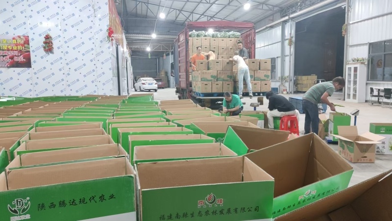 【进店咨询】泡椒精品新客折扣力度大全国发货价格合理