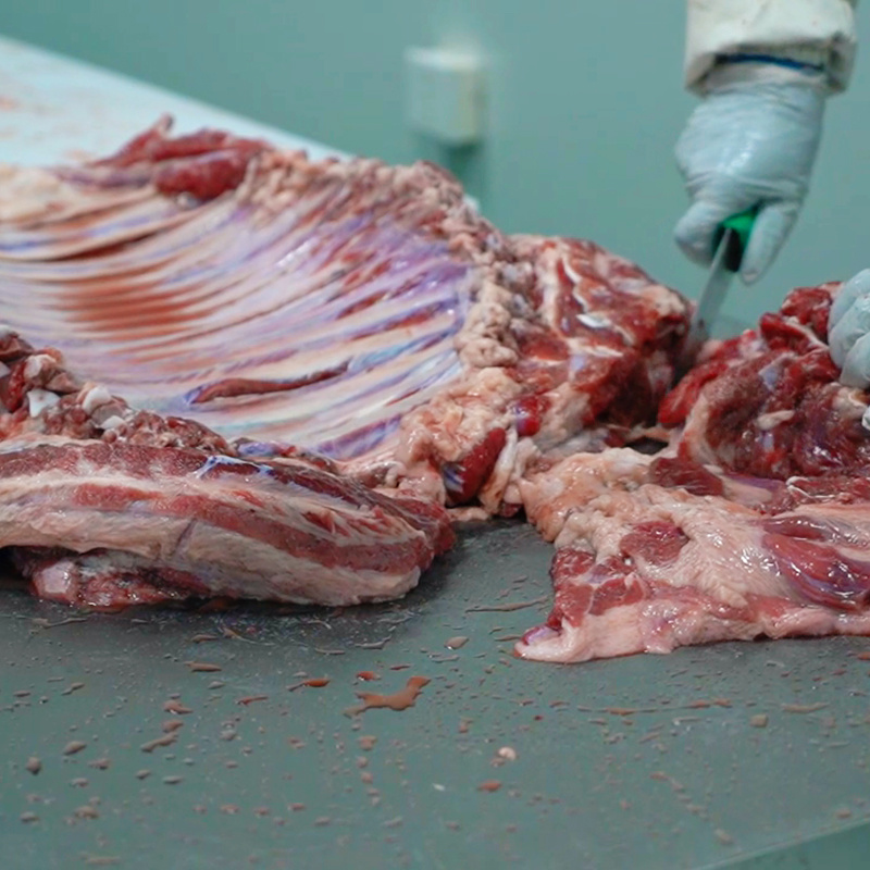 河北保定鲜马肉带皮马肉卤马肉批发