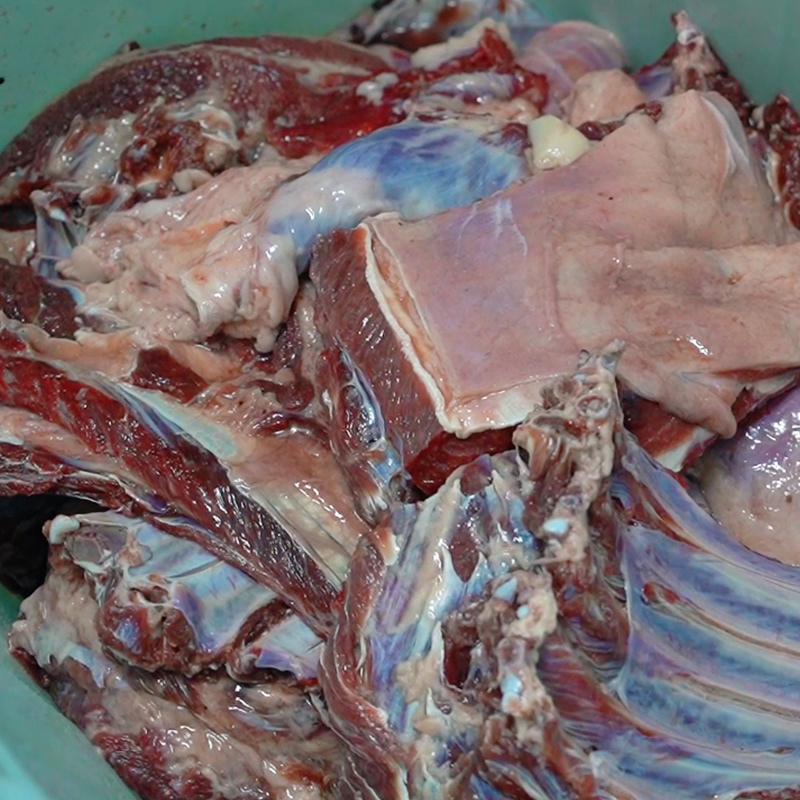 河北保定鲜马肉带皮马肉卤马肉批发