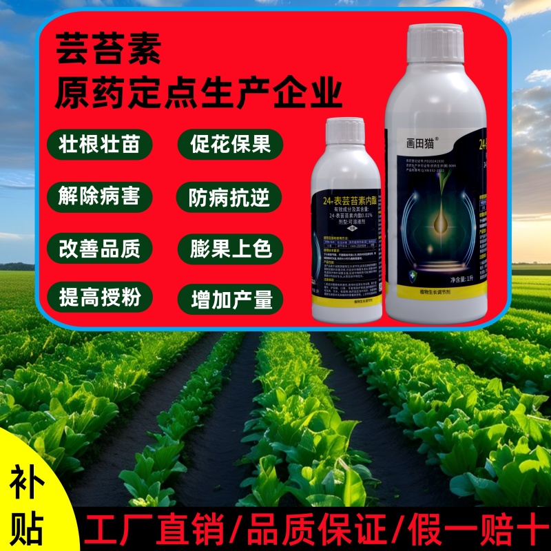 24表芸苔素内酯植物生长调节剂增产增收云台素内酯正品批发