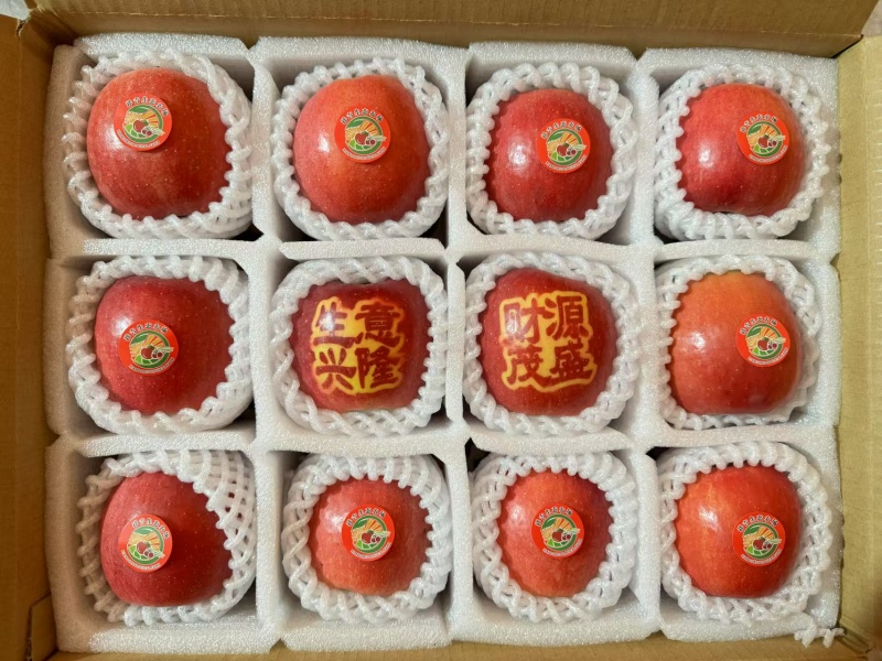 【推荐】山东红富士苹果量大价优品质保证可视频看货