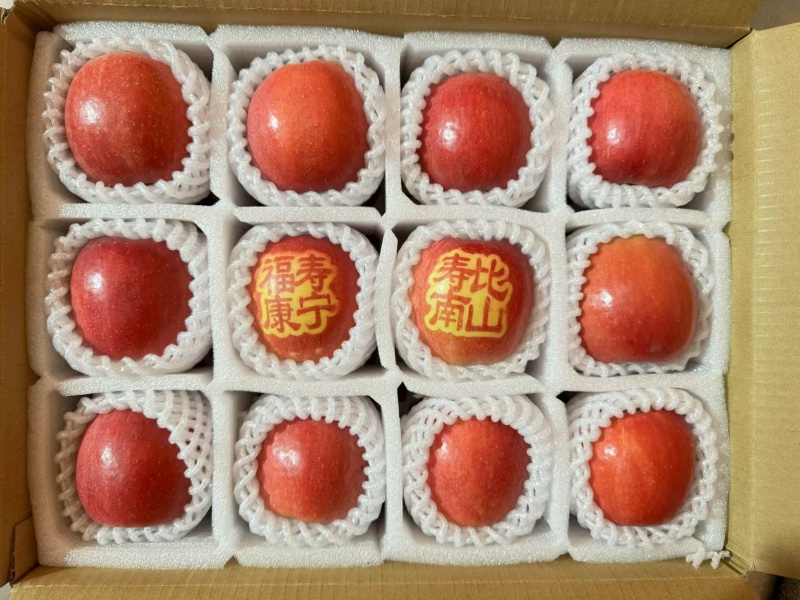 【推荐】山东红富士苹果量大价优品质保证可视频看货