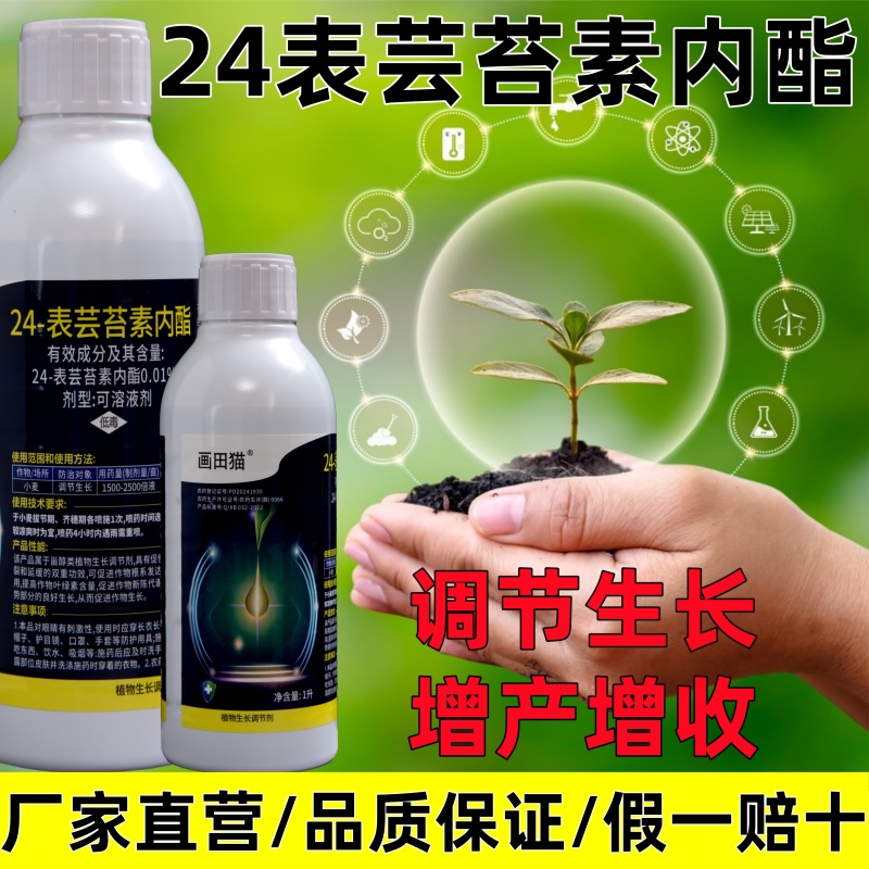 24表芸苔素内酯植物生长调节剂促根壮苗保花保果增产增收