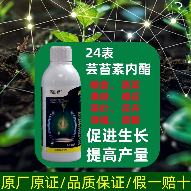 24表芸苔素内酯植物生长调节剂促根壮苗保花保果增产增收