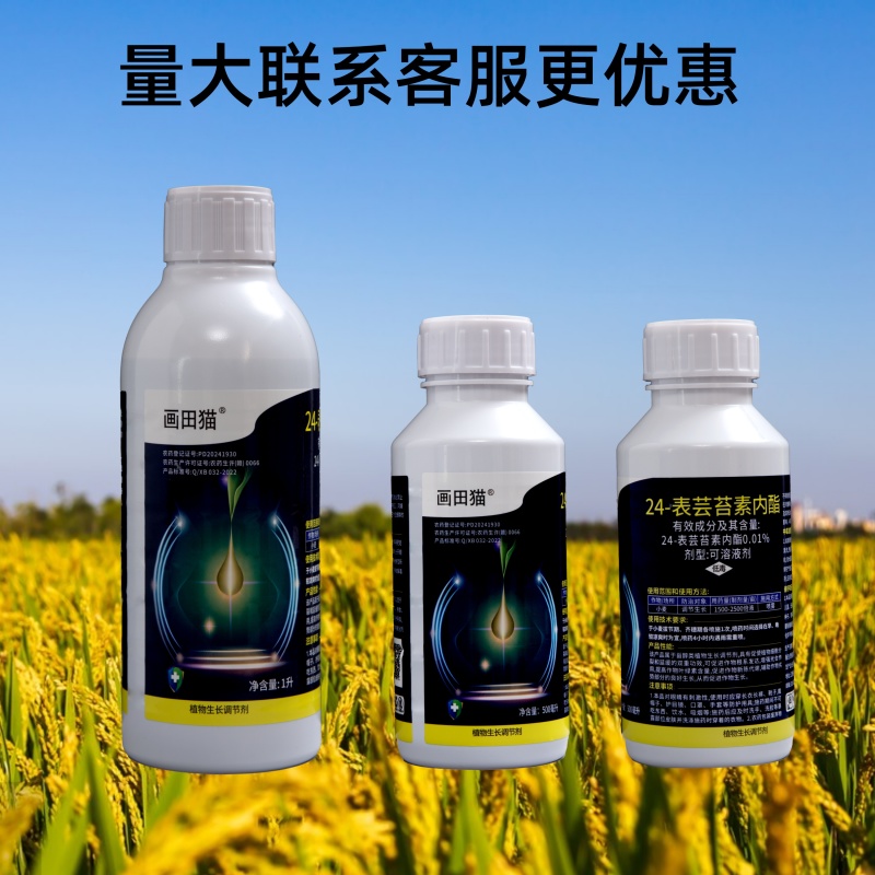 24表芸苔素内酯植物生长调节剂促根壮苗保花保果增产增收