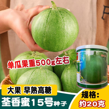 荃香蜜15号绿宝石甜瓜种子早熟果肉绿色酥脆香味浓郁