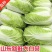 【山东大白菜】新鲜农家黄心现摘青菜整颗白菜商超品质