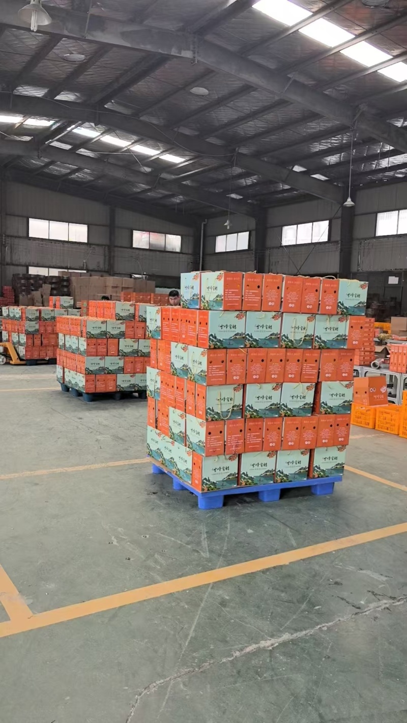雪峰蜜桔湖南发货水分充足质量保证价格商量进店咨询