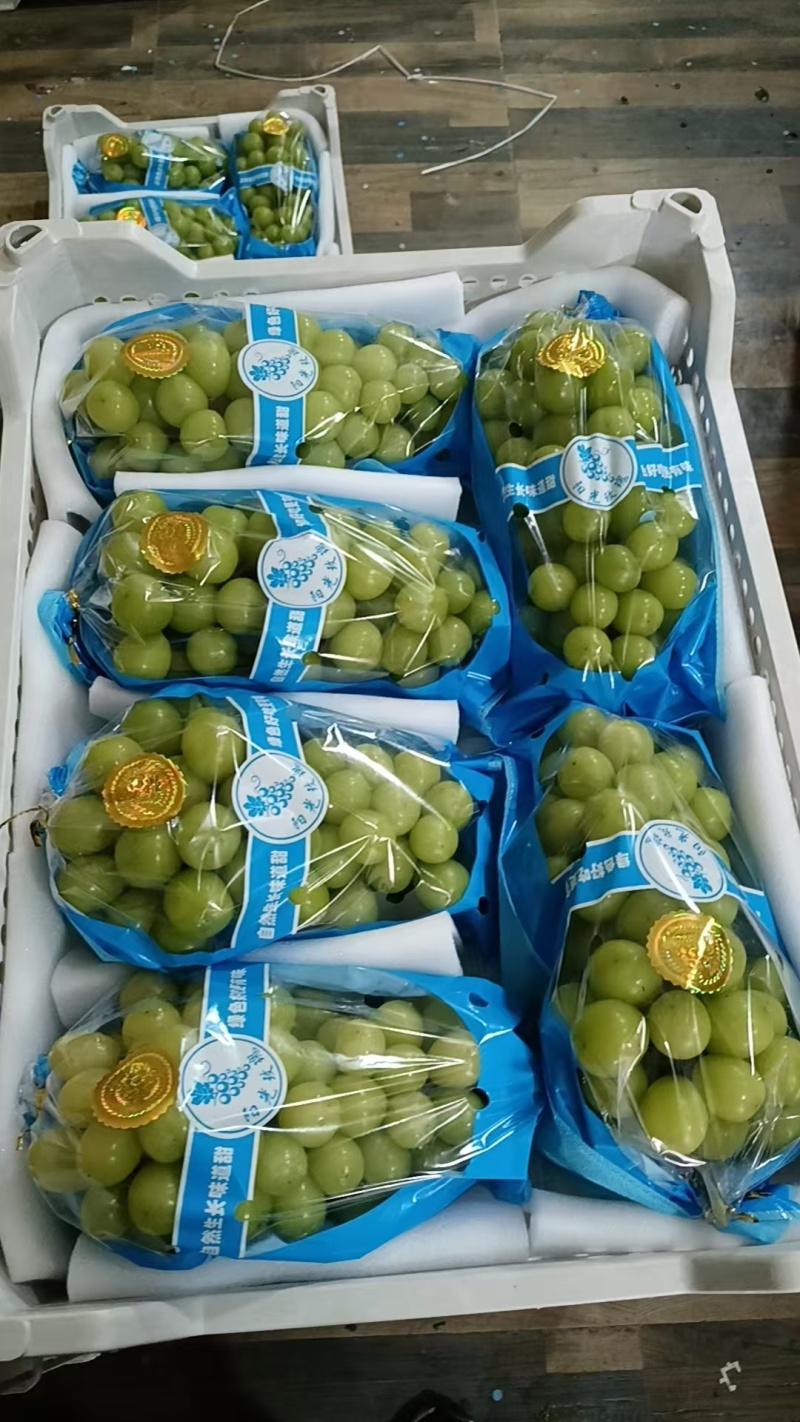 葡萄巨峰葡萄品质保障产地直供一手货源量大从优欢迎咨询