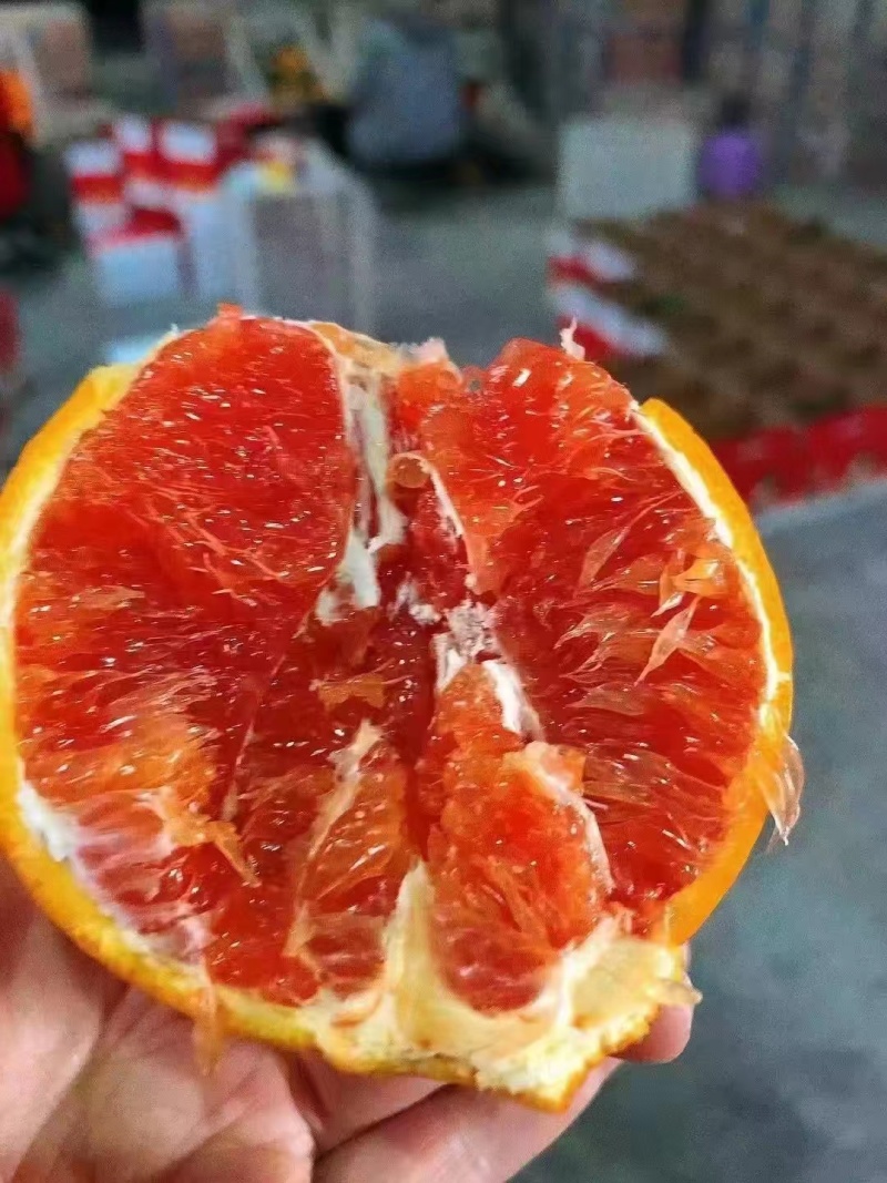 血橙，中华红血橙，塔罗科橙，口感纯甜无酸水分充足爆汁