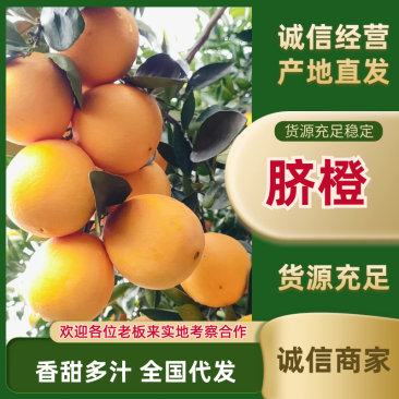 湖北脐橙精品橙子产地直发一手货源电商市场商超货源