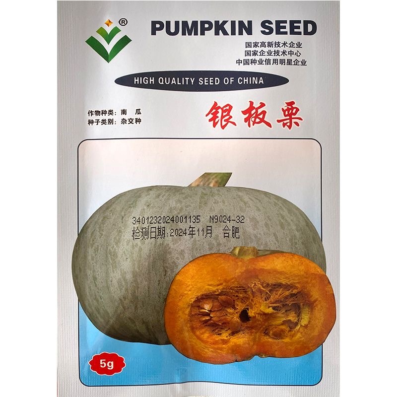 银板栗南瓜种子早熟果肉深橙黄肉质细粉甘甜