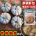 荃银吉祥南瓜种子果粉重肉橙黄红色肉厚质粉