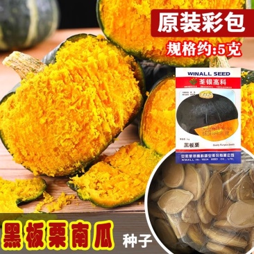 黑板栗南瓜种子印度南瓜种子早熟果肉橙黄粉糯味甜