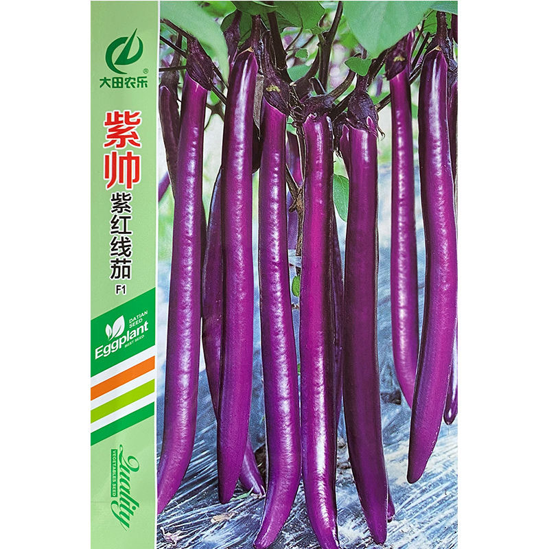 紫帅紫红线茄种子早熟果实细长果型顺直肉质细嫩