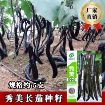 秀美黑线茄种子早熟果实细长顺直肉质细嫩