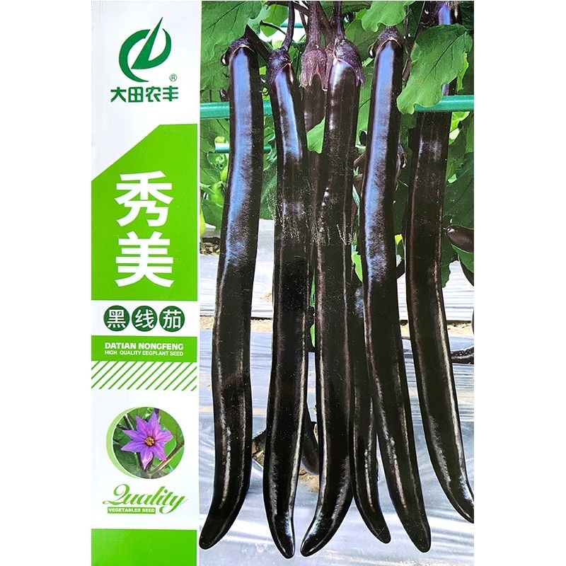 秀美黑线茄种子早熟果实细长顺直肉质细嫩