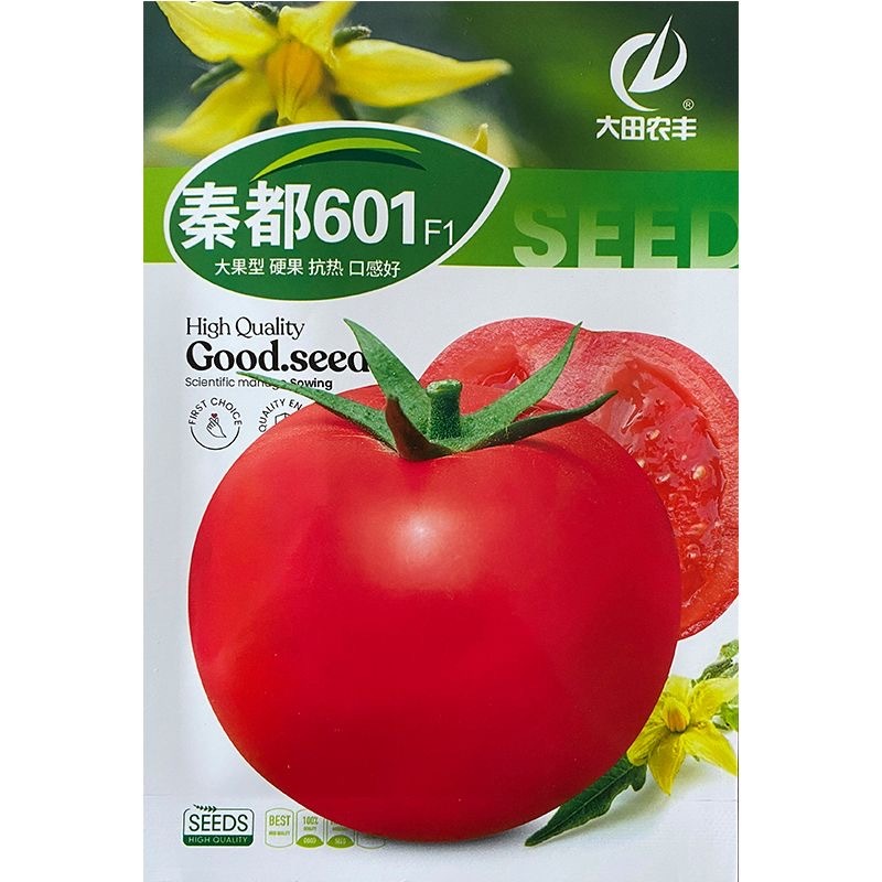 秦都604番茄种子无限生长大果型硬果抗热口感好