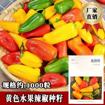 威纳特红色水果辣椒种子水果椒种子无限生长甜度高