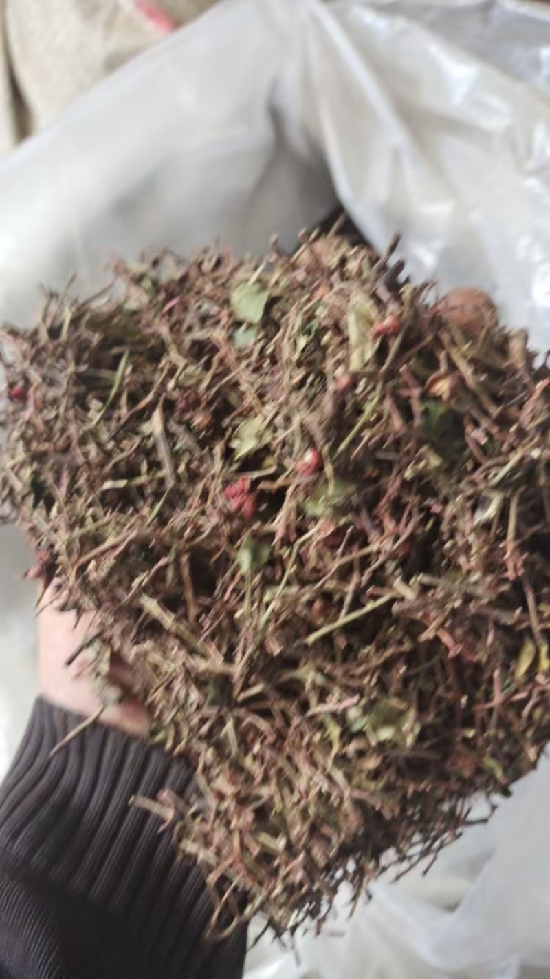 韩城花椒杆