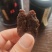 黄精膏产地直发手工制作质量保证可以视频看货