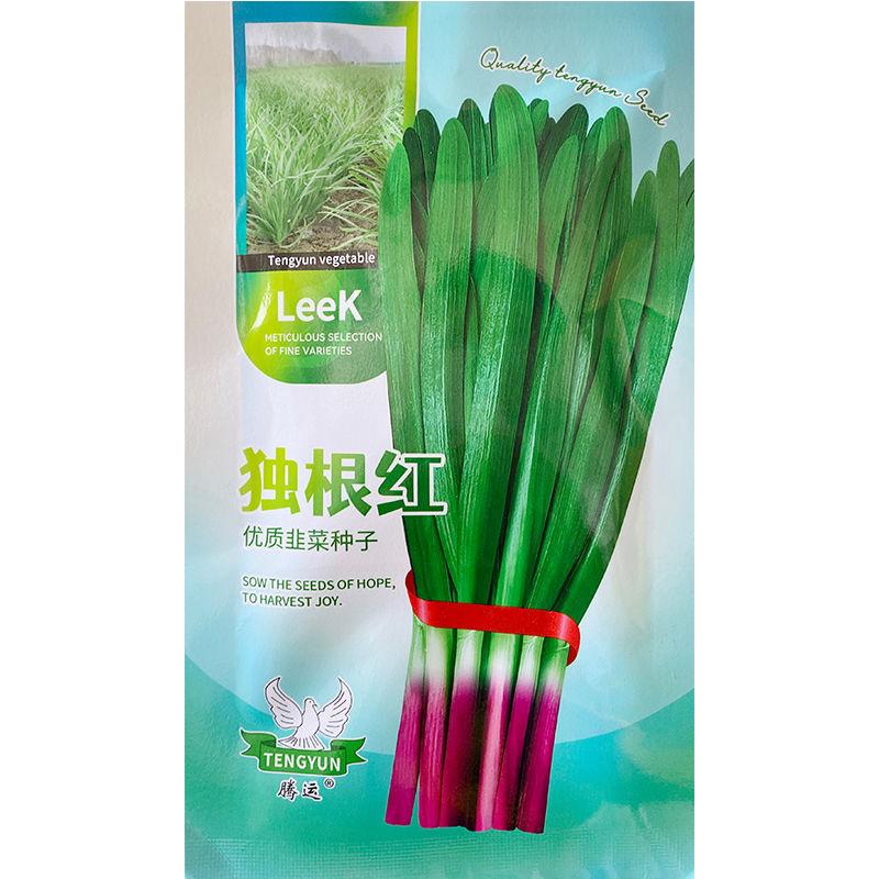 独根红韭菜种子四季红根耐热抗寒直立型