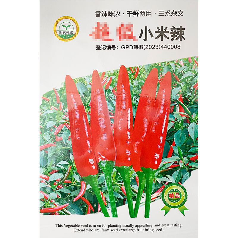 小米辣椒种子三系杂交香辣味浓干鲜两用抗病