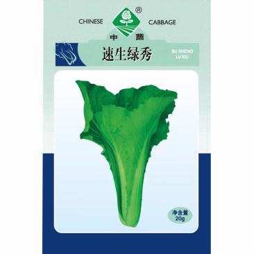 速生绿秀种子耐热抗病口感好20克苗用小白菜蔬菜种