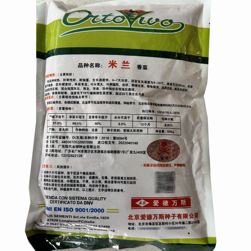 意大利米兰香菜种子耐热耐抽薹香味浓生长快7天出苗