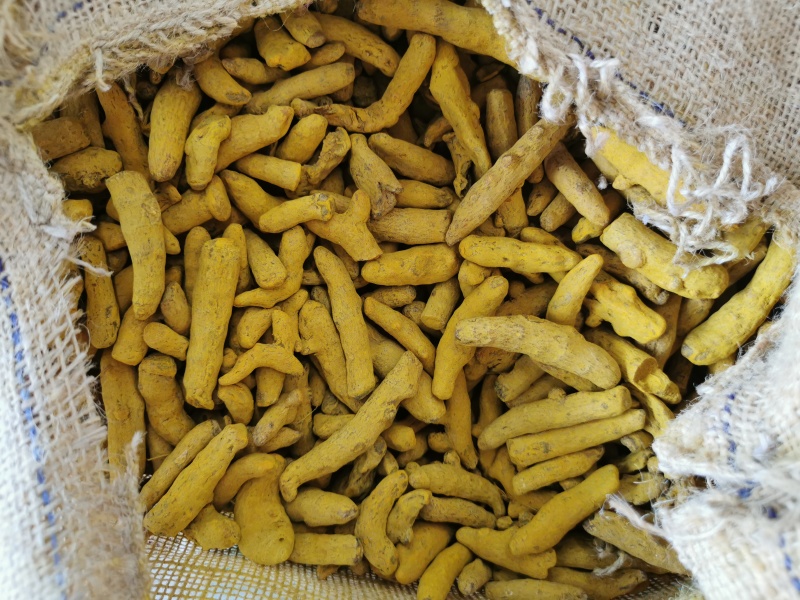 姜黄中药材姜黄无硫***调味品调味料姜黄大货对接联