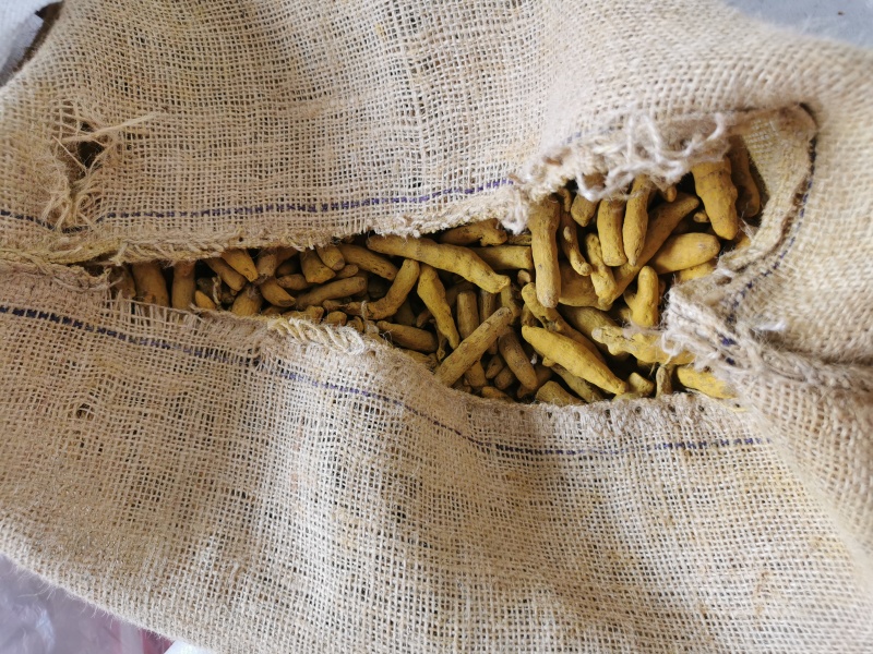 姜黄中药材姜黄无硫***调味品调味料姜黄大货对接联